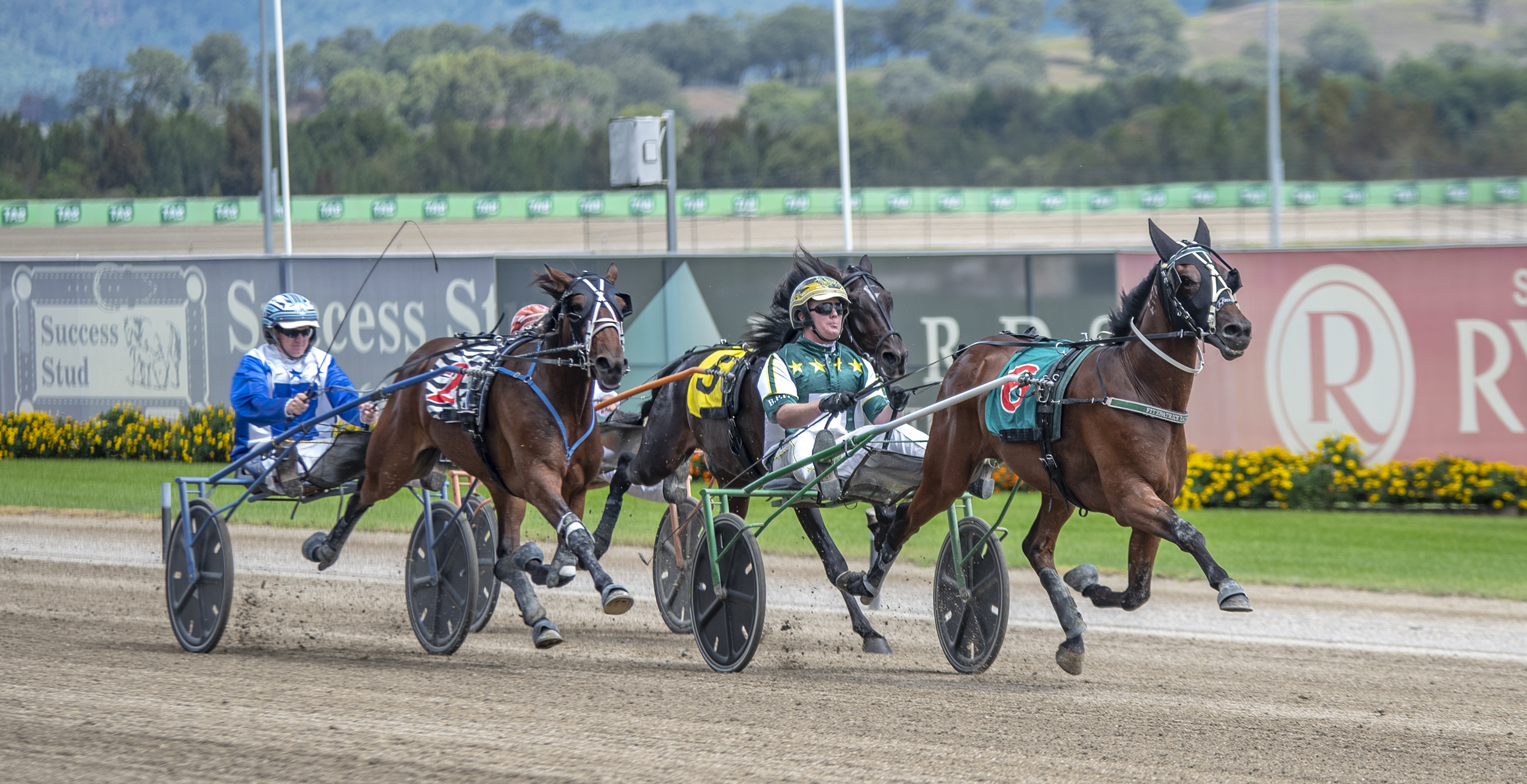 NSWBC Trotters